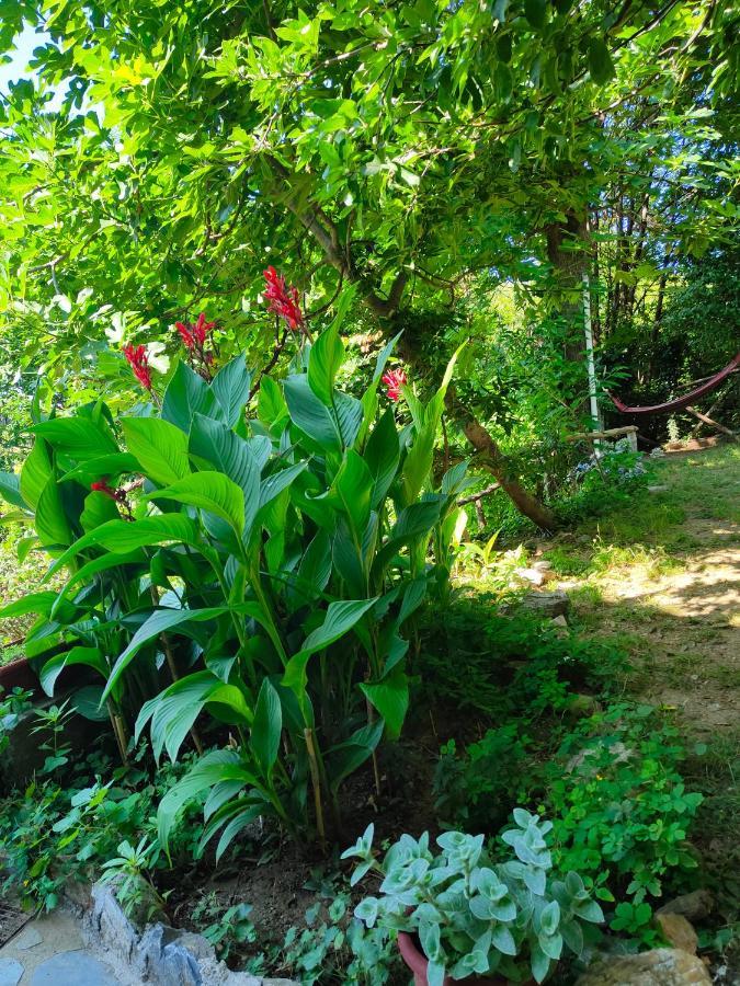 Filoxenia Hotell Tsagarada Exteriör bild
